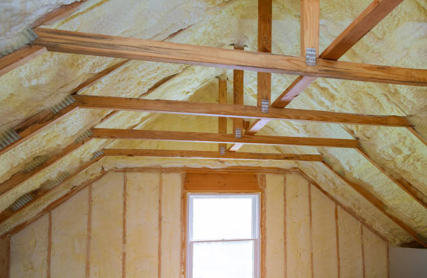 Best Insulation Maintenance and Repair in Van, TX