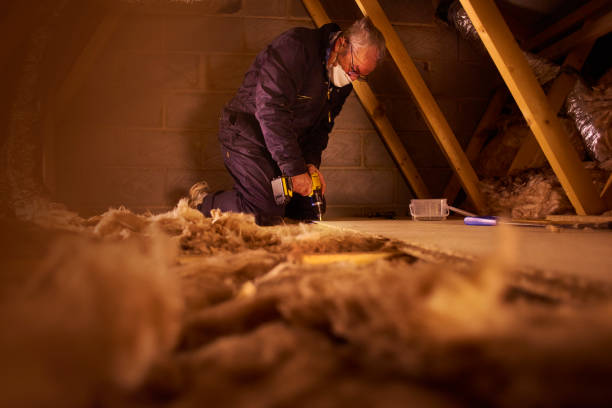 Best Spray Foam Insulation in Van, TX
